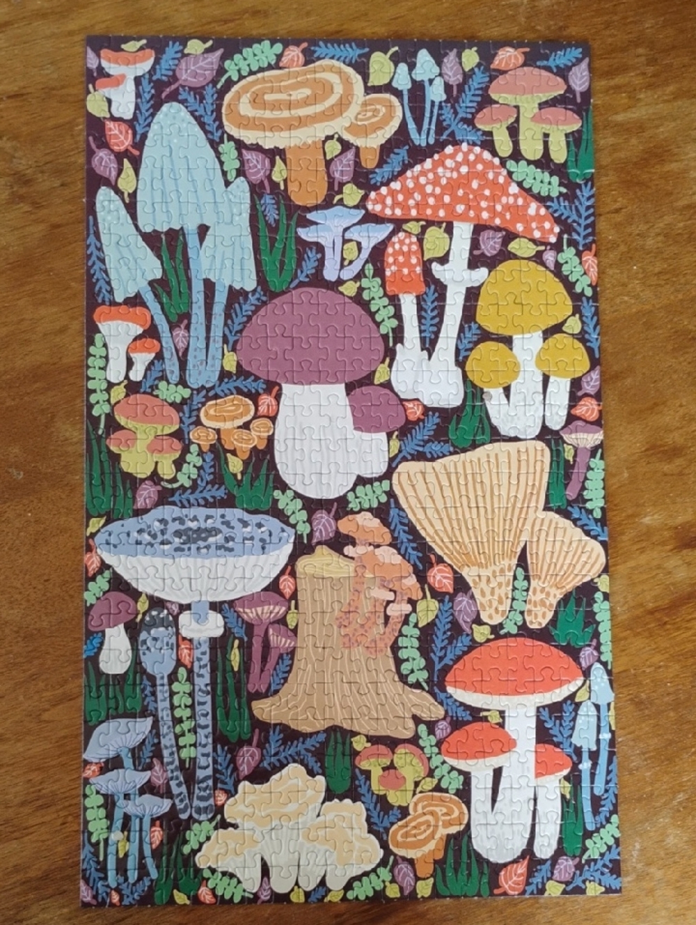 Colorful Mushroom Illustration Wall Art Puzzle